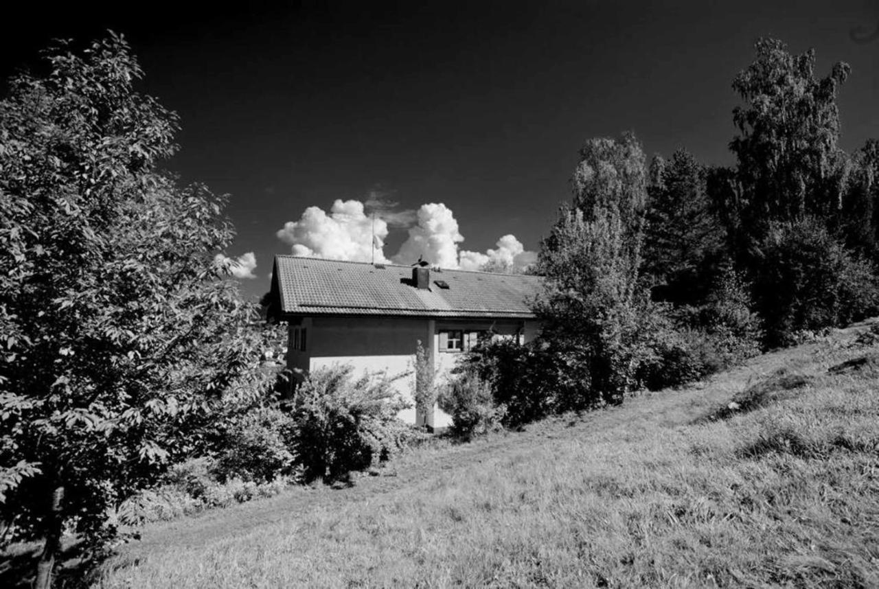 Ferienwohnungen Haus "Wildschuetz" Frauenau Esterno foto