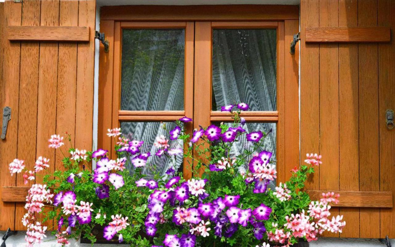 Ferienwohnungen Haus "Wildschuetz" Frauenau Esterno foto